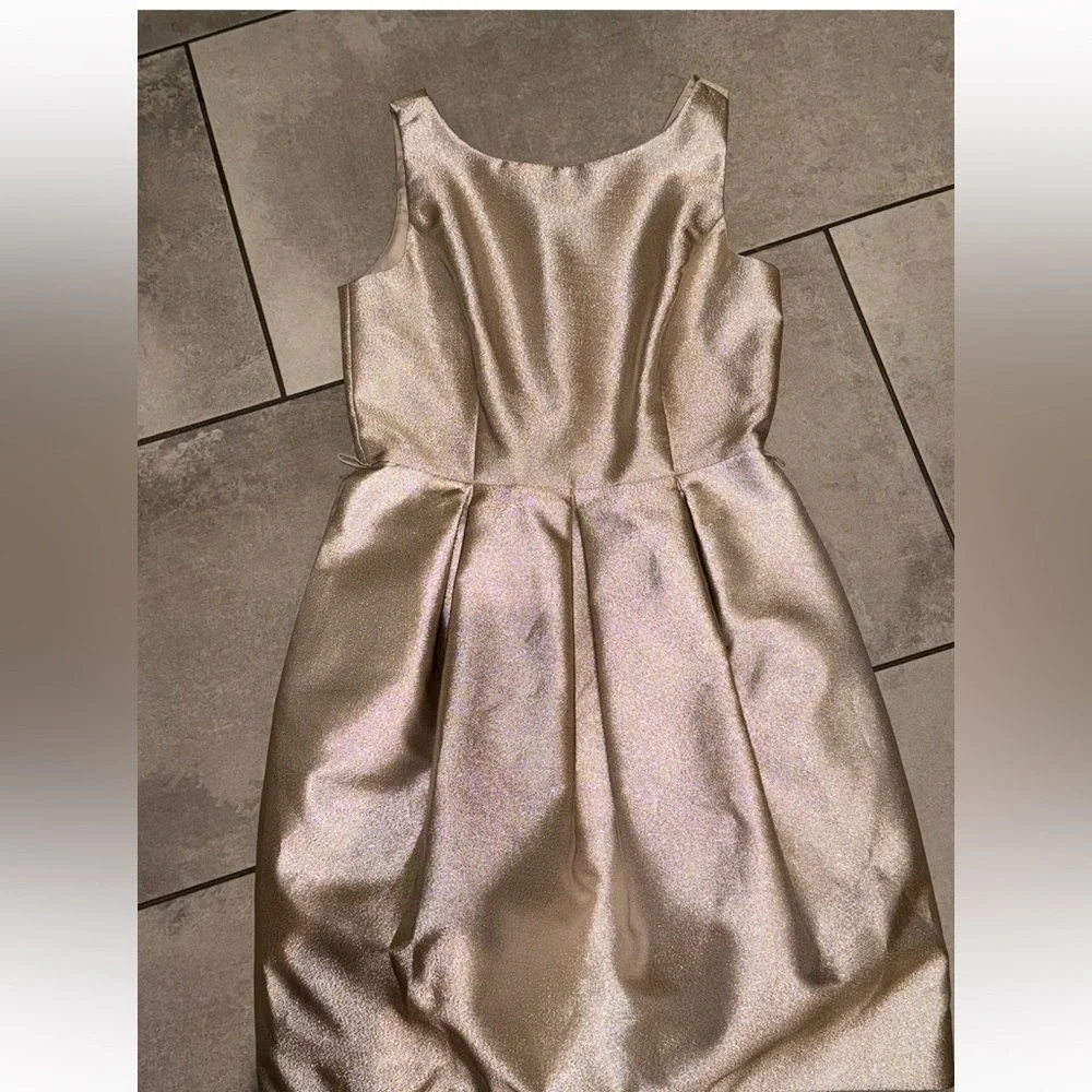 White House Black Market Champagne Glitter Cocktail Holiday NYE Dress Size 2 - Picture 10 of 15